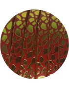 Cuir plat de 6mm fantaisie avec relief rouge et pistache en vente au cm