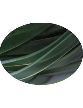 Cordon caoutchouc plat vert olive de 6mm coupé à 1 mètre
