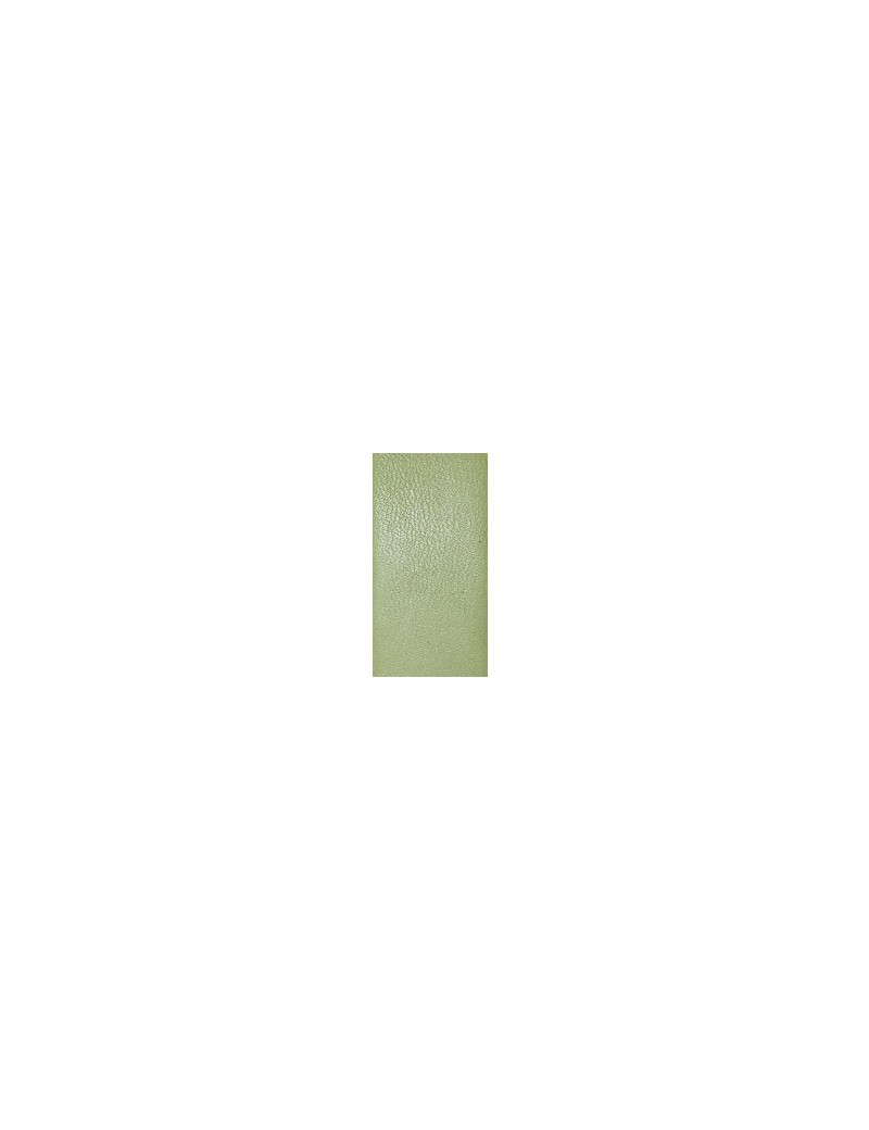 Cuir plat de 20mm de large couleur vert pastel-vente au cm