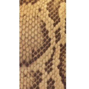 Elastique fantaisie plat 36mm imprime peau de serpent-vente au cm
