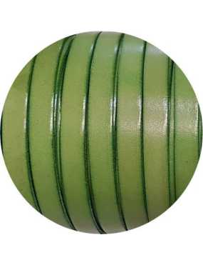 Cuir plat de 10mm vert pistache vendu au cm-Premium